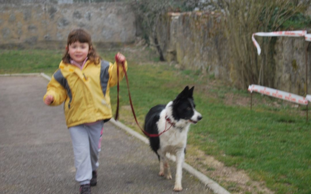 Education canine Côte d&rsquo;or – Educateur canin 21